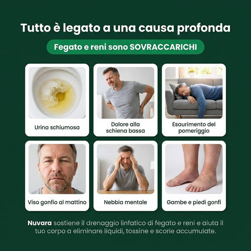 Lumi — Drenaggio Linfatico · Senti il tuo corpo ripartire in 60 giorni